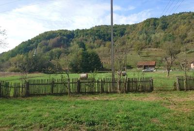 Teren, padure si casa in Dumbrava de Jos, jud. Hunedoara - 20