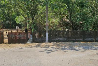 Spațiu comercial, în Balș - 8