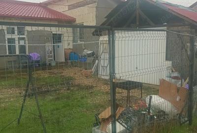 Casa 4 dormitoare adunatii copaceni - 3