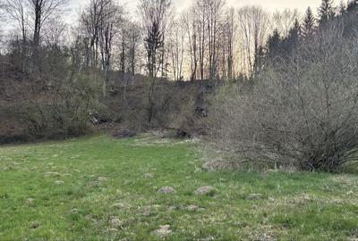 Teren de 5022 mp, în Măliniș - 1