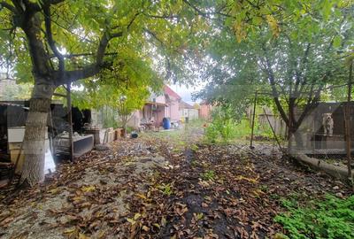 Casa 4 camere 1150 mp teren, la asfalt toate utilitatiile - 3