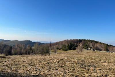 Spațiu comercial, în Damiș - 13