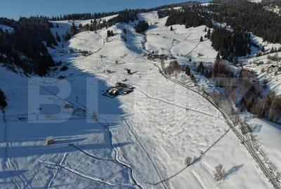 Teren ideal pentru investi?ie, ?aru Dornei, 36.000 mp - 10