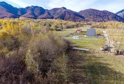 Teren Construcții intravilan de 2500 mp, în Tohănița - 9