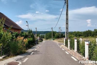 De Vanzare Parcele Teren Pentru Cabana Lacul Surduc - 2