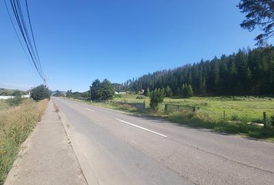 Teren Construcții intravilan de 5000 mp, în Nord - 2