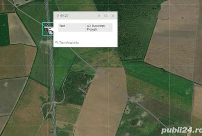 Teren de 10400 mp, în Ștefăneștii de Sus - 2