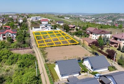 Teren 850 mp + 150 mp cale acces, Visani-Barnova Investi - 2