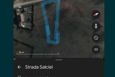 Spațiu comercial, în Cărpiniș - 1