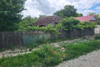 Casa si teren, loc Dragalina, Jud. Calarasi-03.03 - 3