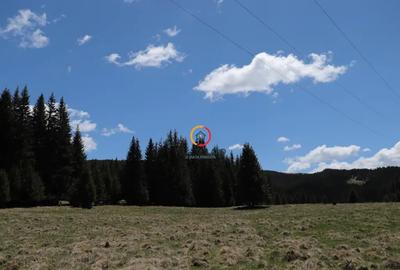 Teren de 50000 mp, în Pietroșița - 3