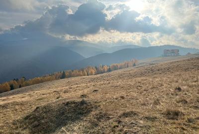 Teren de vanzare ideal pentru cabana Zona Valari, Paltini?(6131 m) - 1