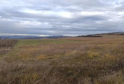 Teren de 20000 mp, în Saschiz - 3