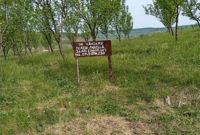Teren de 3600 mp, în Central - 1