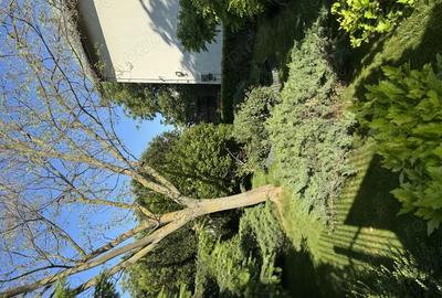 Casă cu 5 camere în Bragadiru - 3