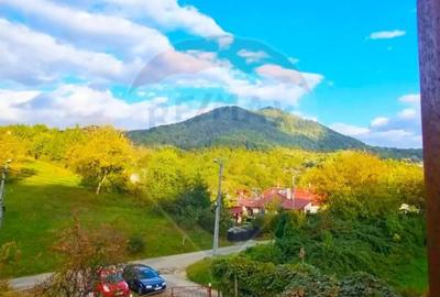 Casă cu 4 camere cu Teren 248 Mp în Valea Borcutului