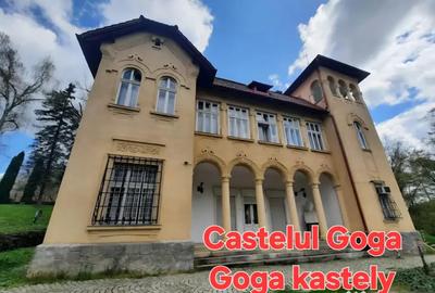 Teren de 26403 mp, în Negreni - 7