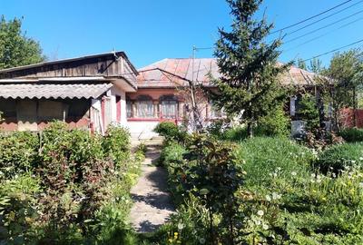 Casă cu 3 camere în Central - 1