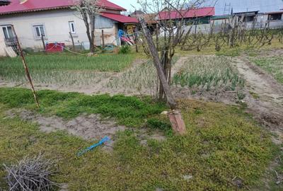 Casă cu 5 camere cu Teren 8481 Mp în Soreni - 4
