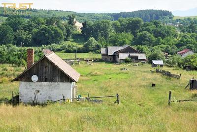 Ferma de vanzare, teren, constructii, saivan, lac - 8