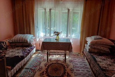 Casă cu 3 camere în Moceriș - 2