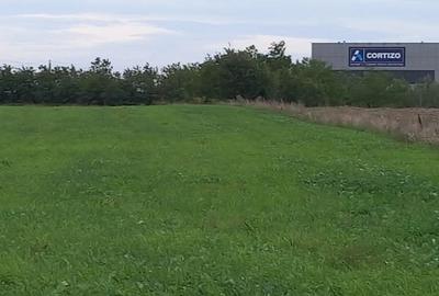 TEREN 10000 M Autostrada Buc-Pitesti - 3