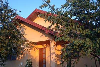 Casa Vaslui Moara Grecilor - 1