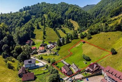 Oaza rustica: Case si teren generos de 9.400 mp in Dambovicioara, Arges Oaza rustica: Case si teren generos de 9.400 mp in Dambovicioara, Arges - 16