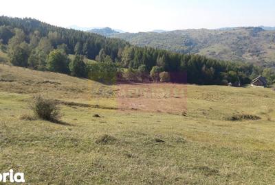 Teren de 9037 mp, în Central - 8