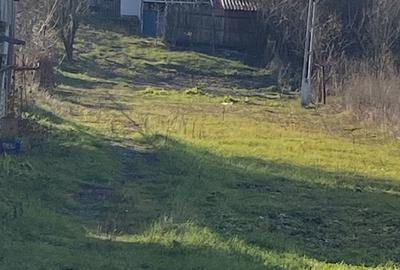 Casă cu 3 camere în Criș - 3