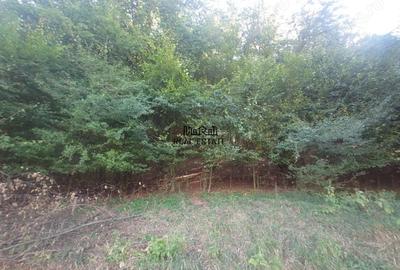 Teren de 56031 mp, în Criș - 3