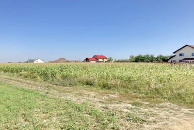 Teren Construcții intravilan de 20400 mp, în Stupini - 3