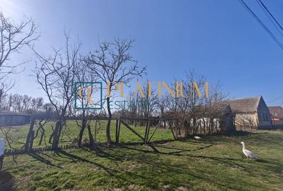 Casă individuală cu 2 camere cu Teren 5003 Mp în Cebza - 12