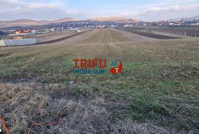 Teren de 1453 mp, în Bărăbanț - 4