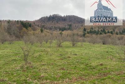 Teren Extravilan de vanzare Glajarie - 8