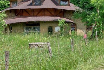 Casă cu 6 camere cu Teren 2700 Mp în Bradu - 3