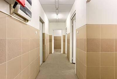 Hală industrială 727 mp Arad - 9