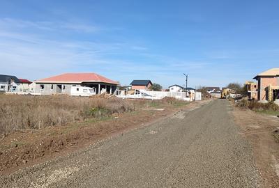 Comuna Berceni, str Serelor - 2