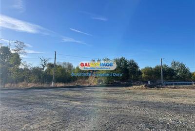Teren Construcții intravilan de 9202 mp, în Domnești - 2