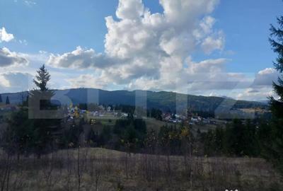 Teren de 10000 mp, în Central