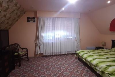 Casa de vacanta sau pensiune situata langa Cabana Trei Brazi Predeal - 27