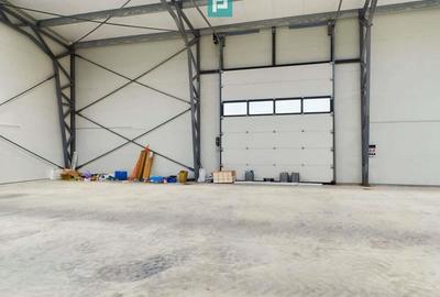 Hala noua in zona industriala Giarmata - 2