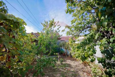 Casa cu 2 camere de vanzare in zona Iosia Strada Artarilor - 25