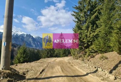 Teren de vânzare în Predeal - Zona Forban - 5