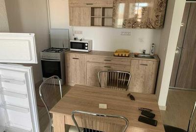 Apartament 2 camere zona Veteranilor - 2