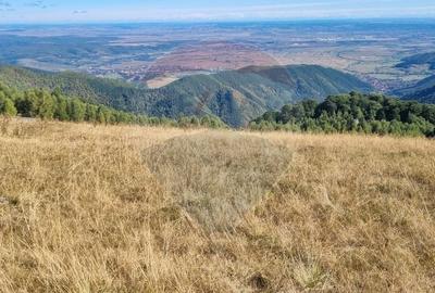 Teren agricol extravilan de 5609 mp, în Gura Râului - 2