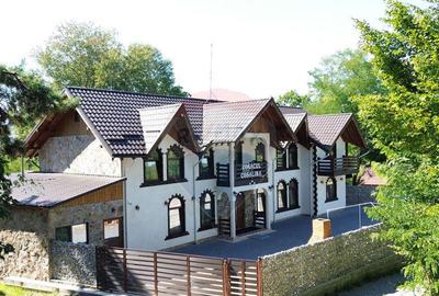 Pensiune de vanzare in Sovata Conacul Cosalina - 9