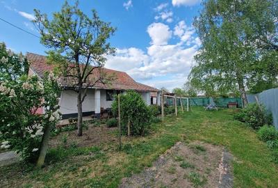 Casă cu 2 camere cu Teren 2700 Mp în Central - 4