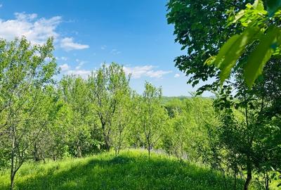 Teren intravilan de 4384 mp, în Talea - 2