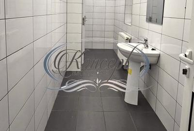 Spatiu comercial cu parcari si gradina, zona Ira - 8